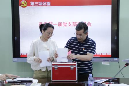 党建领航育新篇 —深圳市水田小学党支部完成换届选举