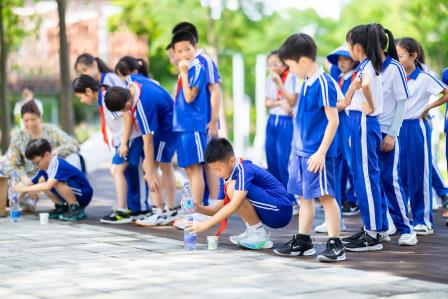 红岭小学·创心课程｜“每周半天计划”之奇妙的“海绵”探索之旅