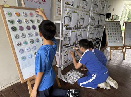 学段学科双联动，端午项目式学习点亮未来校园文化传承路