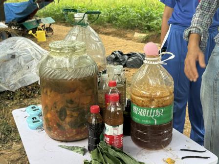 夏雨浇不灭求知热忱 巧手探秘循环生态 ——翠北集团“手植春光，心育未来”校外实践课程（第3期）暨行走的思政课（第28期）