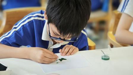 巧手绘夏韵，琅彩耀童心 ——翠北实验小学“每周半天”实践课程暨行走的思政课（第27期）