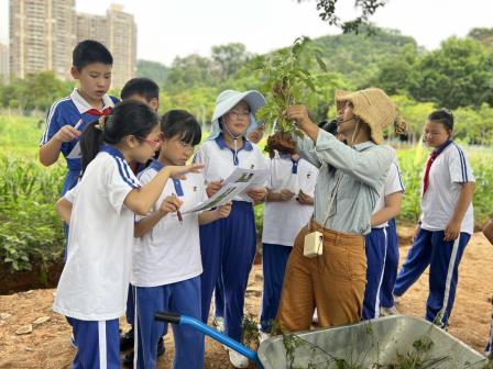 美育浸润校园，科学守护绿意 ————翠北集团“手植春光，心育未来”校外实践课程（第4期）暨行走的思政课（第29期）