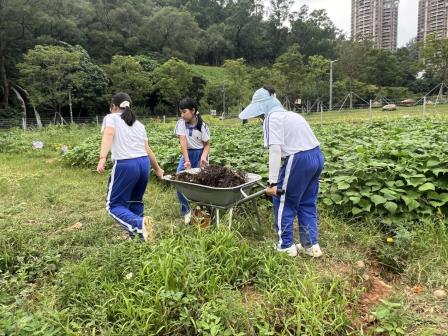 美育浸润校园，科学守护绿意 ————翠北集团“手植春光，心育未来”校外实践课程（第4期）暨行走的思政课（第29期）