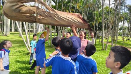 草木含情，探索生趣 —— 翠北实验小学亲子团探秘东湖公园植物世界