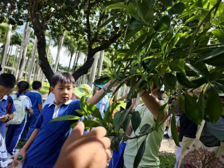 草木含情，探索生趣 —— 翠北实验小学亲子团探秘东湖公园植物世界