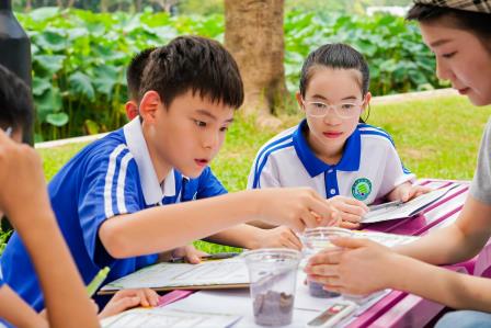 洪湖小学“每周半天计划”生态实践课：探索落叶的绿色新生