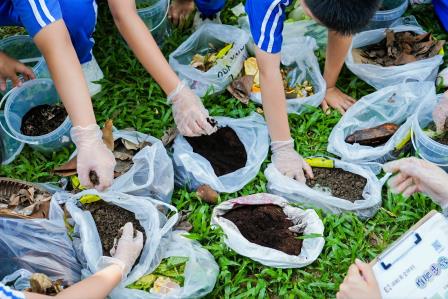 洪湖小学“每周半天计划”生态实践课：探索落叶的绿色新生