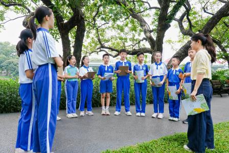 洪湖小学“每周半天计划”生态实践课：探索落叶的绿色新生