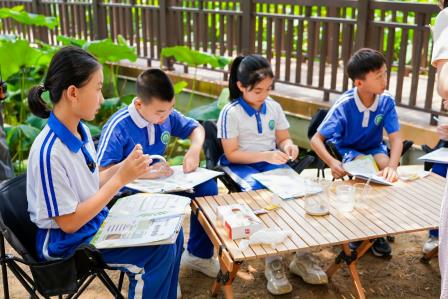 洪湖小学“每周半天计划”生态实践课：探索落叶的绿色新生
