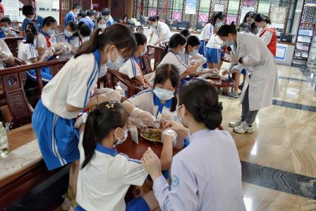 守护“睛”彩视界，传承中药文化——湖贝小学开展每周半天计划校外实践活动