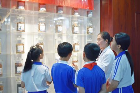 守护“睛”彩视界，传承中药文化——湖贝小学开展每周半天计划校外实践活动