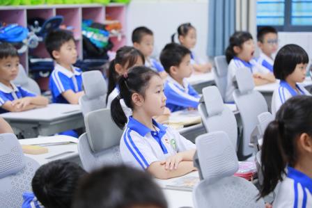 台风过境，仙桐第一课诠释“守护”与“敬畏”
