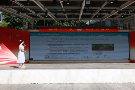 萌狮昂首启新程，爱国筑梦向未来 ——深圳市笋岗小学举行2025年秋季学期开学典礼