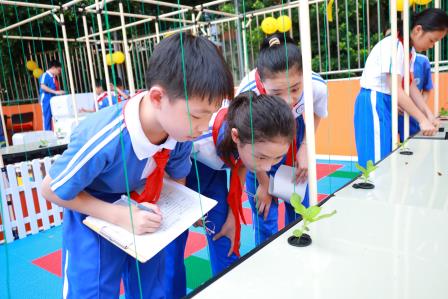 智慧农业启新程，劳动教育育新人——罗湖实验学校“未来农场”劳动教育实践基地正式开园