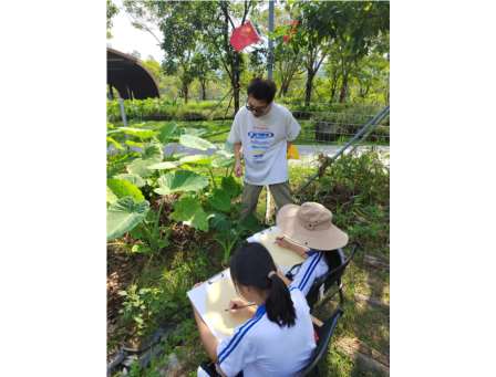 朝阳少年绘丰收   美育巧笔赋秋光——深圳市东晓小学开展“每周半天计划”之“红领巾寻美行”