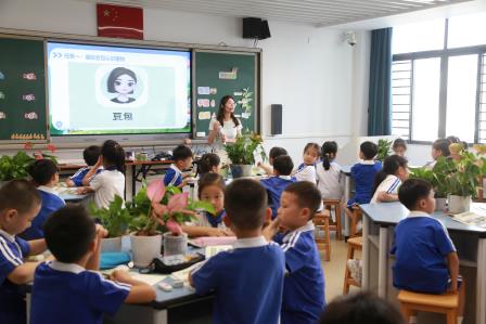 布心小学 “百人听千课”：AI 赋能探新质教育