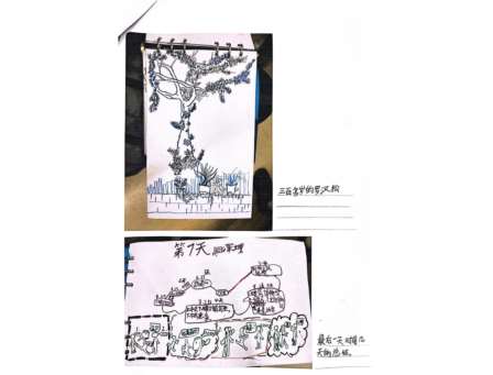 罗湖外语小学美育一件事——暑假里的 “美育图卷”，每一份都闪闪发光