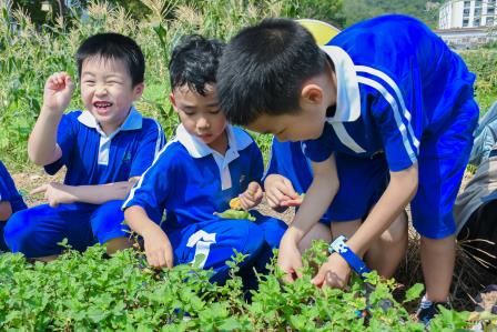 　四季滨海乐享劳动，童心慧眼智见未来 　　——深圳市翠北实验小学1-3年级秋季研学实践