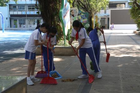 全员动手，预防蚊患——新秀小学掀起爱国卫生运动热潮
