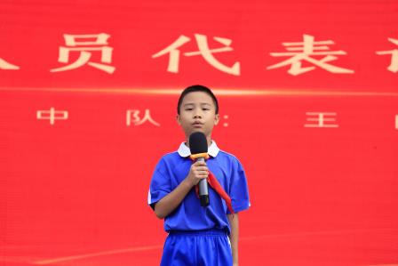 深圳市华丽小学举行新队员入队仪式