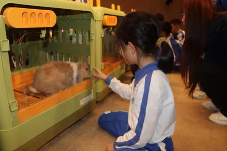 华南地区第一家！罗湖外语小学授牌佩蒂校园AAT公益项目驻校种子基地