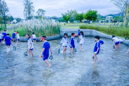 悦享农耕之趣 感悟劳动魅力 ——深圳市梧桐小学1至3年级开展秋季田园社会实践暨每周半天计划活动