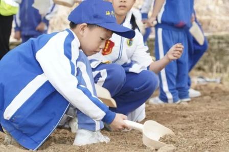  深圳市怡景小学举行1-3年级社会实践活动