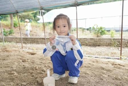  深圳市怡景小学举行1-3年级社会实践活动