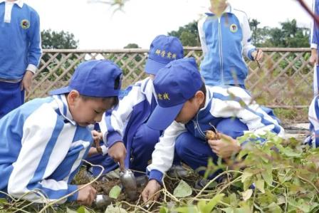  深圳市怡景小学举行1-3年级社会实践活动