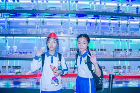 深圳市怡景小学举行4-6年级社会实践活动