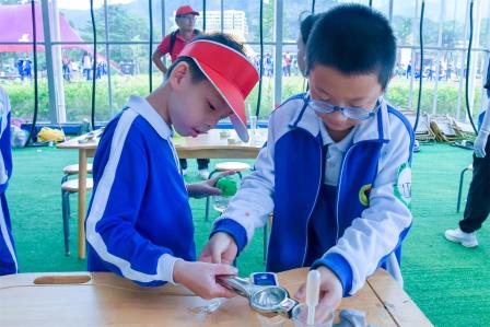 深圳市怡景小学举行4-6年级社会实践活动