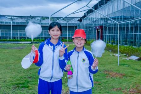 深圳市怡景小学举行4-6年级社会实践活动