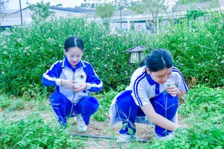 深圳市怡景小学举行4-6年级社会实践活动