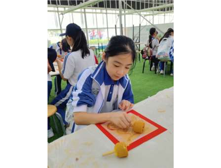 探索田园智慧，体验实践乐趣——深圳市仙桐实验小学开展秋季滨海田园研学活动