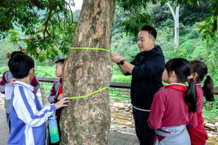 自然与数据共舞！华美外国语学校“每周半天计划”——“数”测森林碳汇