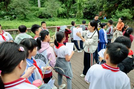 自然与数据共舞！华美外国语学校“每周半天计划”——“数”测森林碳汇
