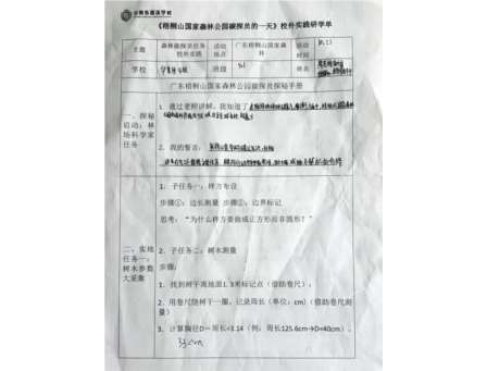 自然与数据共舞！华美外国语学校“每周半天计划”——“数”测森林碳汇