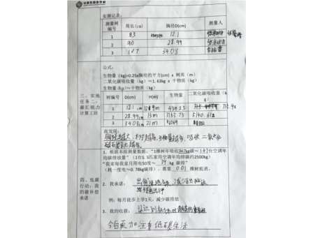 自然与数据共舞！华美外国语学校“每周半天计划”——“数”测森林碳汇