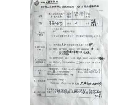 自然与数据共舞！华美外国语学校“每周半天计划”——“数”测森林碳汇