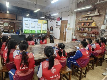 “闻香识草，情暖重阳” ——深圳市锦田教育集团锦田小学顺利开展重阳节主题实践活动