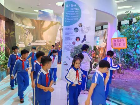 走出教室，走进天地：新秀小学进行社会实践美育课堂