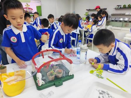 走出教室，走进天地：新秀小学进行社会实践美育课堂