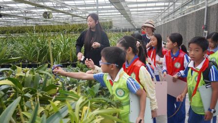 赴一场兰科之约 种一颗生态初心——深圳市梧桐小学开展山海自然生态校本课程暨“每周半天计划”活动