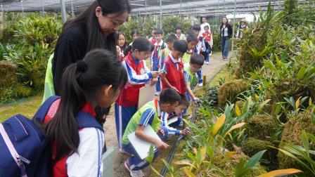 赴一场兰科之约 种一颗生态初心——深圳市梧桐小学开展山海自然生态校本课程暨“每周半天计划”活动