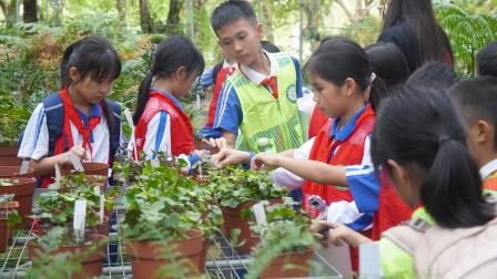 赴一场兰科之约 种一颗生态初心——深圳市梧桐小学开展山海自然生态校本课程暨“每周半天计划”活动