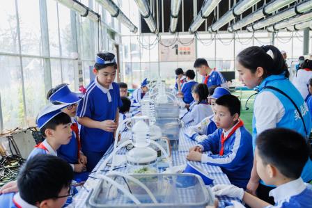 享劳动之趣，扬劳动之美 ——深圳市泰宁小学开展主题社会实践活动