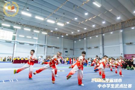 桂园小学武术队获市赛第二名佳绩