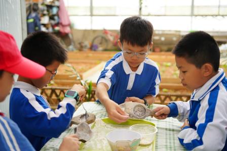 躬耕田园润童心，探秘科技筑梦想——深圳市莲南教育集团安芳小学开展秋季社会实践活动