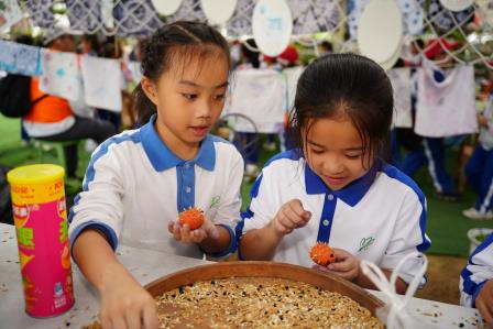 躬耕田园润童心，探秘科技筑梦想——深圳市莲南教育集团安芳小学开展秋季社会实践活动