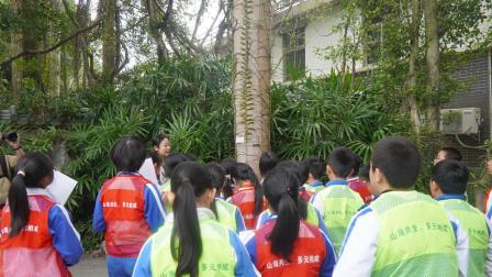 兰科奇旅，探秘自然植物宝库  ——深圳市梧桐小学开展山海自然生态校本课程暨“每周半天计划”活动